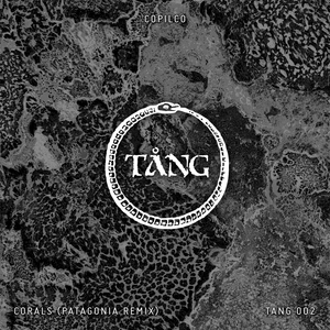 Corals (Patagonia Remix)