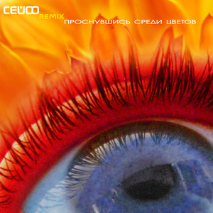 Проснувшись среди цветов (remix)