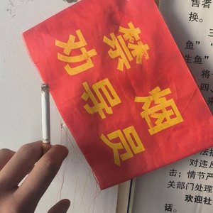 三个五 Freestyle