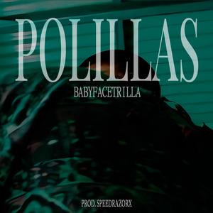 Polillas