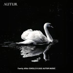 Family Affair（remix）