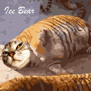 橘猫出游（Live）