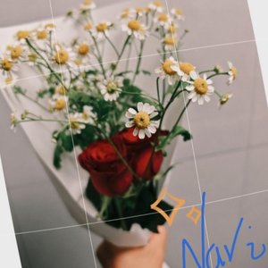 Navi