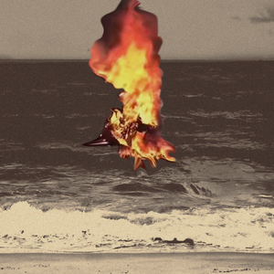 泡在梦呓里的陈皮