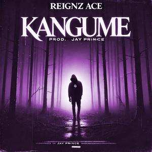 REIGNZ ACE _ KANGUME