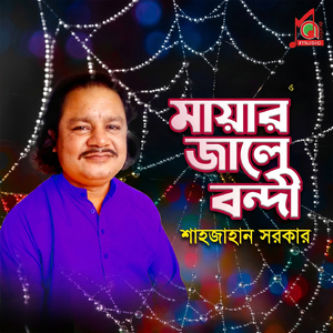 Sokol Kisu Teg Koriya