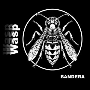 Wasp