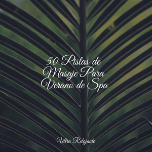 Pasanso Por Debajo