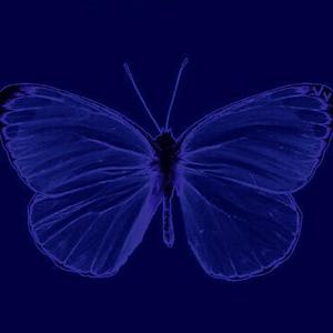 Меняманит(KOSMO'23Cover)