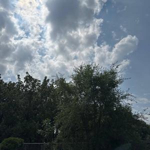 Stuck in your stereo