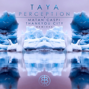 Perception (Thankyou City's Binary Remix)