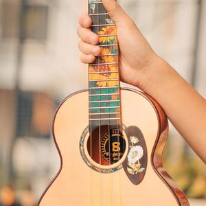 依米音乐房子-《卡农》-尤克里里吉他版