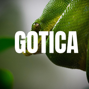 GOTICA