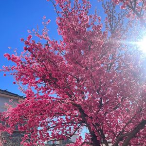 我走后+说散就散(河南版)