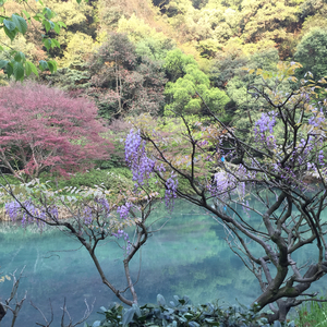 九溪烟树·藏头诗歌