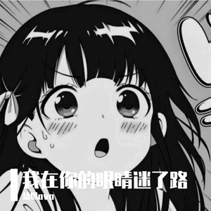 我在你的眼睛里迷了路