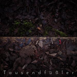 In Der Blauen Wüste