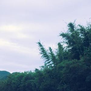 张灯结彩灯火通明 优美钢琴曲