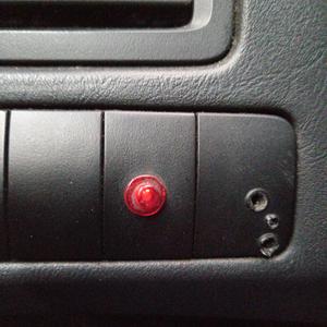 Búsqueda incansable