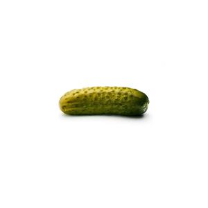 Pickle