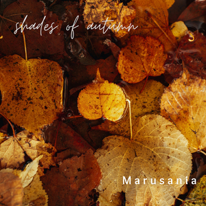 Shades of Autumn