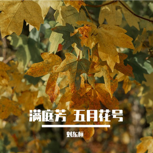 满庭芳 五月花号 伴奏