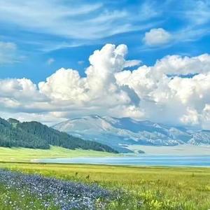 别让我放不下你  (纯音乐remix)