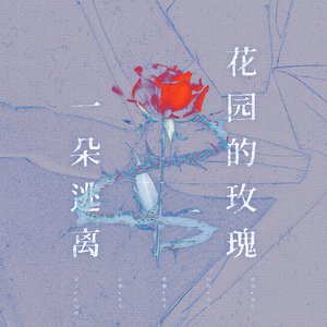 一朵逃离花园的玫瑰