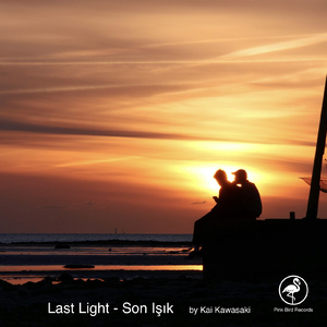 Last Light - Son Işık