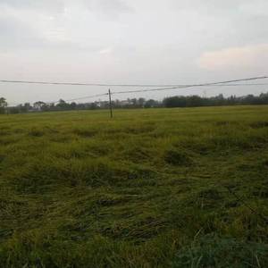 家乡不知在何方