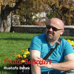 Ne Elçiler Yolladım