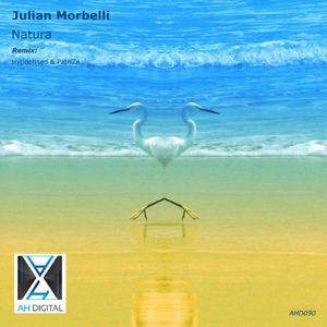 Natura (Hypnotised & PatriZe Remix)