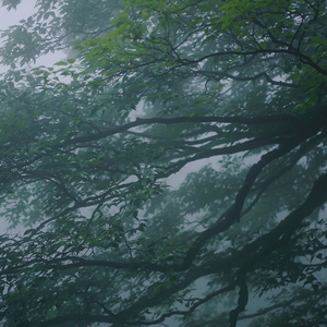 赤翼与风舟(prod.sucku$)