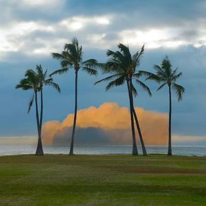 我的未来只因你是小女孩 伴奏