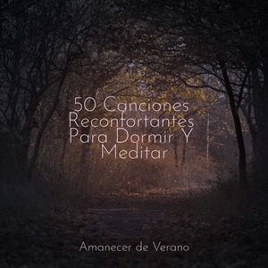 Serenidad del espectro silencioso