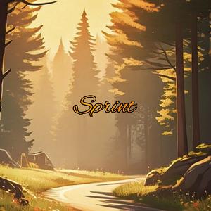 Sprint
