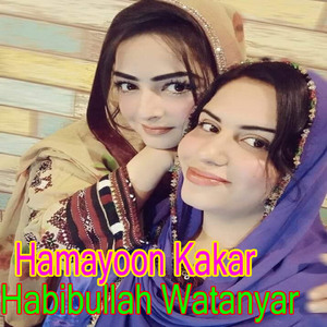 Wali War Khataya Tay