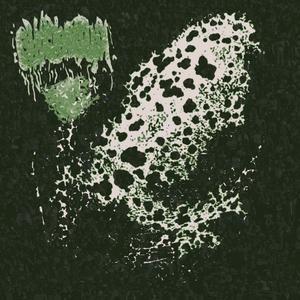 Form The Dense Shoal And Move Around The Water Like A Ball To Prevent The Attack On Tadpoles