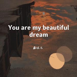 You are my beautiful dream 伴奏