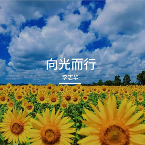 向光而行 伴奏