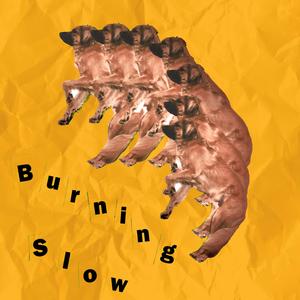 Burning Slow