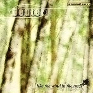 爱的触动 Loving Touch