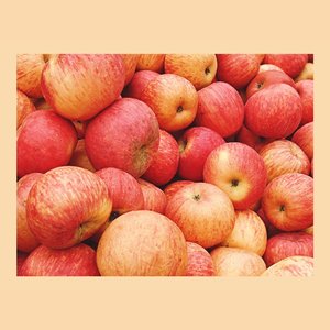 cider