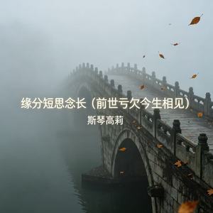缘分短思念长（前世亏欠今生相见）