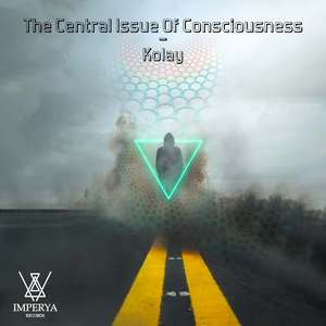 The Central Issue Of Consciousness (Original Mix)