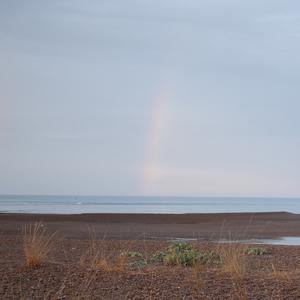 Fish And Chips (Brexit Edition)