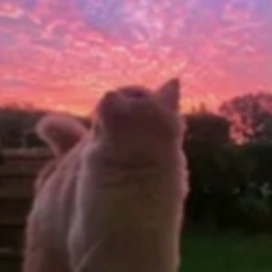 Little bit of love(prod.by Morrow))