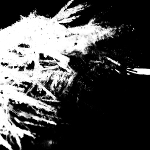 Грибные дожди. Бензиновые лужи. Ядерный удар.