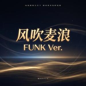 风吹麦浪 (FUNK Ver.)(Cover 李健)