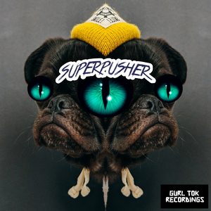 teaser (LoFi Version)